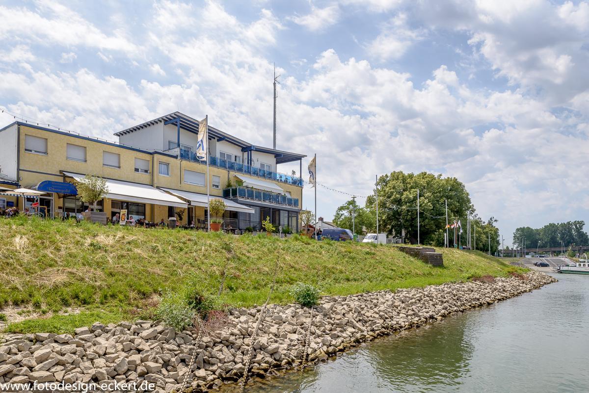 Hotel Rheingold Gernsheim Exterior foto